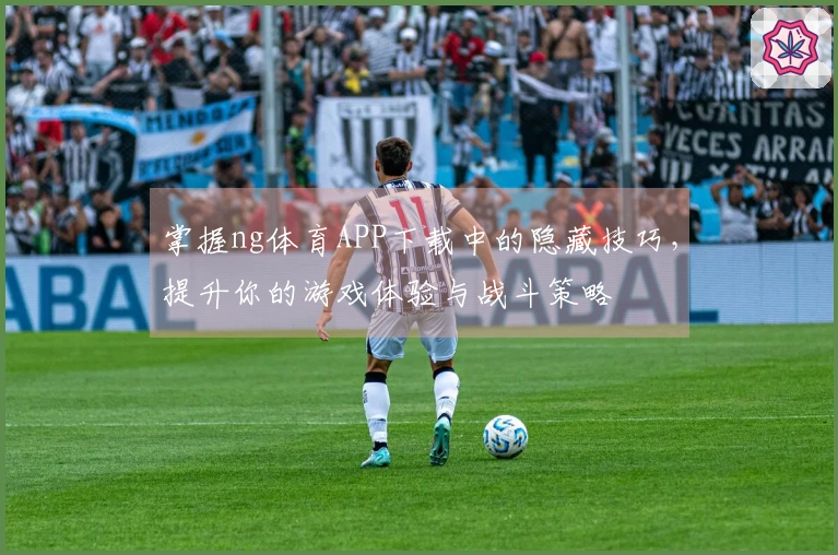 掌握ng体育APP下载中的隐藏技巧，提升你的游戏体验与战斗策略