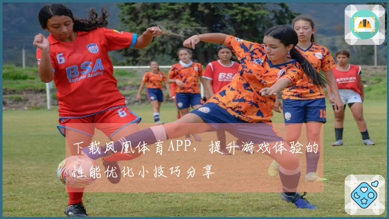 下载凤凰体育APP，提升游戏体验的性能优化小技巧分享